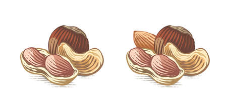 nut set logo Hand drawing sketch engraving watercolor illustration styleのイラスト素材