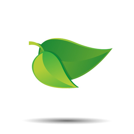 Illustration of a two green leaves with a shadow.のイラスト素材