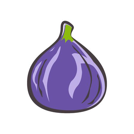 Fig icon, vector illustrationのイラスト素材