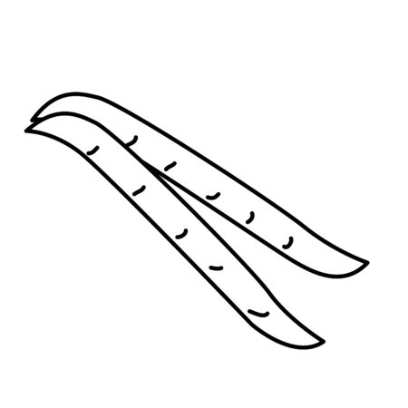 broad bean iconのイラスト素材