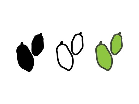 Cardamom icon, vector line illustrationのイラスト素材