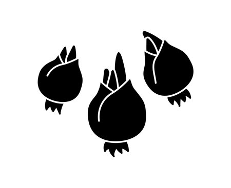 flower bulbs icon, vectorのイラスト素材