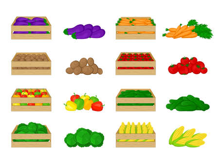 Set of vegetables in wooden boxes isolated on white background. Eggplant, potatoes, peppers, cabbage, carrots, tomatoes, cucumbers, corn. Organic food illustration. Fresh vegetables from the farm.のイラスト素材