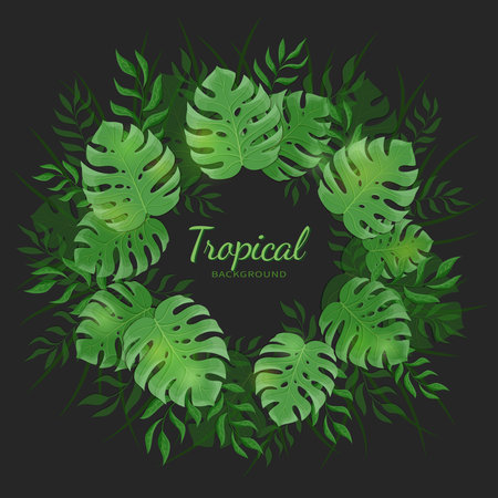 Tropical jungle leaves. Green tropical palm and monstera leaves with a frame on the black background. Vector Illustrationのイラスト素材