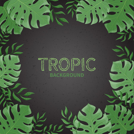 Summer tropical palm leaves on a black background. Vector illustrationのイラスト素材