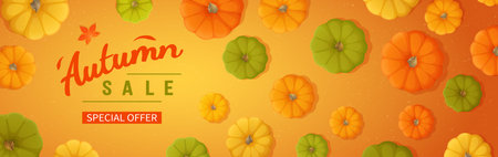 Web banner for Autumn sale. Horizontal banner flyer with yellow, green, orange pumpkins, leaves on an orange background. Special seasonal offer. Top view. Vector illustration.のイラスト素材