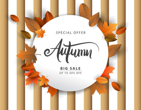 Autumn Sale Background, Hand Drawn Autumn calligraphy with falling leaves, Web Banner, shopping sale or seasonal poster, Postcard and Invitation card. Vector illustrationのイラスト素材
