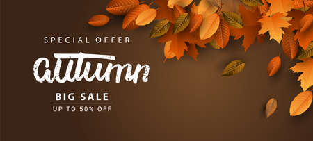Autumn Sale Background, Hand Drawn Autumn calligraphy with falling leaves, Web Banner, shopping sale or seasonal poster, Postcard and Invitation card. Vector illustration