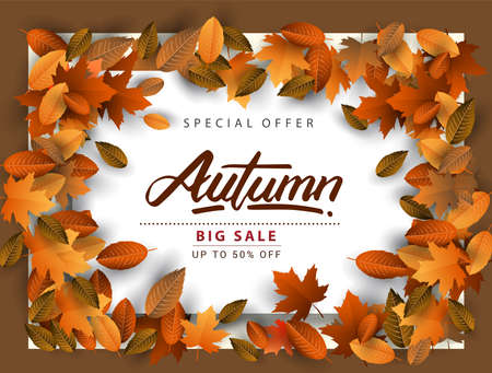 Autumn Sale Background, Hand Drawn Autumn calligraphy with falling leaves, Web Banner, shopping sale or seasonal poster, Postcard and Invitation card. Vector illustrationのイラスト素材
