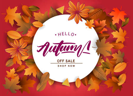 Autumn Sale Background, Hand Drawn Autumn calligraphy with falling leaves, Web Banner, shopping sale or seasonal poster, Postcard and Invitation card. Vector illustration