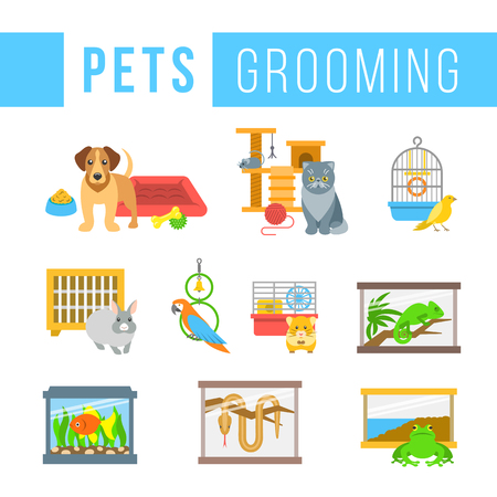 Animals pets grooming flat colorful iconsのイラスト素材