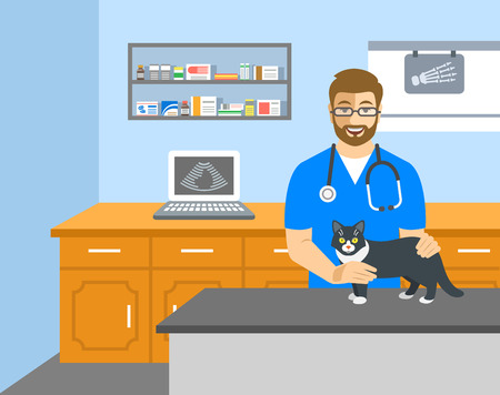 Veterinarian doctor holds cat on examination table in vet clinic. Vector cartoon illustration. Pets health care background. Domestic animals treatment concept. Veterinary professional consultationのイラスト素材
