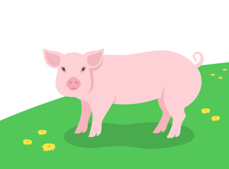 Pig standing on the green grass. Domestic farm animal grazing in a spring meadow. Flat cartoon illustration of swine. Summer grassland backgroundのイラスト素材