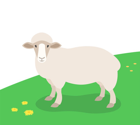 Sheep standing in the green meadow. Domestic farm animal grazing on spring pasture. Flat cartoon illustration.のイラスト素材