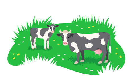 Black and white cow with little calf grazing in a green meadow. Free range cattle, eco farming concept. Simple flat stylized illustrationのイラスト素材