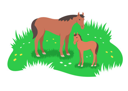 Brown horse and her little foal grasing in the green flower meadow. Simple flat stylized illustrationのイラスト素材