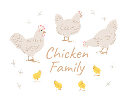 Cute doodle chicken family members. Hand drawn linear chicken, rooster and adorable chicks in different poses, isolated on white. Stylized vector cartoon illustration. Domestic farm birds. Full lengthのイラスト素材