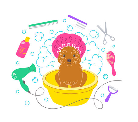 Cute little toy poodle dog in shower cap taking a bath in plastic bowl with soap foam, bubbles and grooming tools, such as hair dryer, scissors, shampoo, brushes. Pet grooming hand drawn illustrationのイラスト素材
