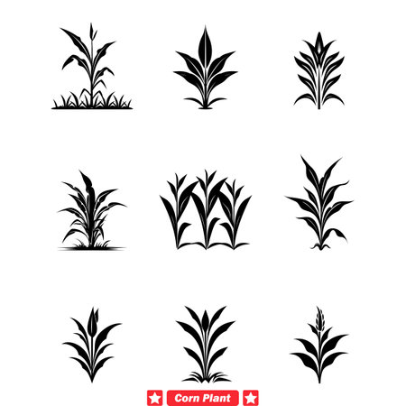 Golden Fields Premium Corn Plant Silhouettes Bundle for Farm Graphics, Labels, and Packagingのイラスト素材
