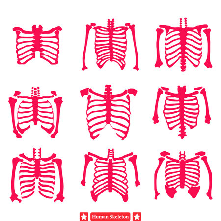Skeleton Crew  Diverse Human Skeleton Vectors for T shirt Printingのイラスト素材