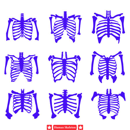 Eerie Elegance  Stylish Human Skeleton Vector Set for Artistic Creationsのイラスト素材