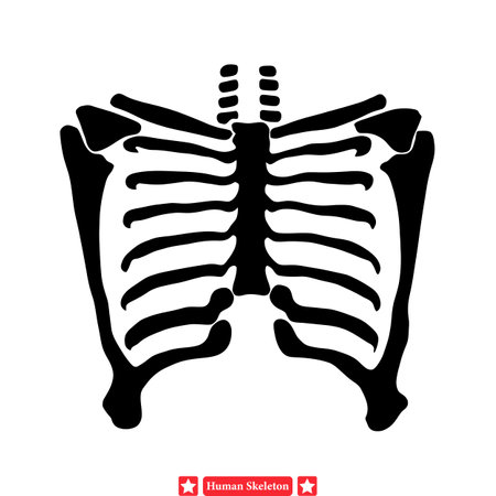 Skeletal Symphony  Harmonious Human Skeleton Vector Set for Musical Eventsのイラスト素材