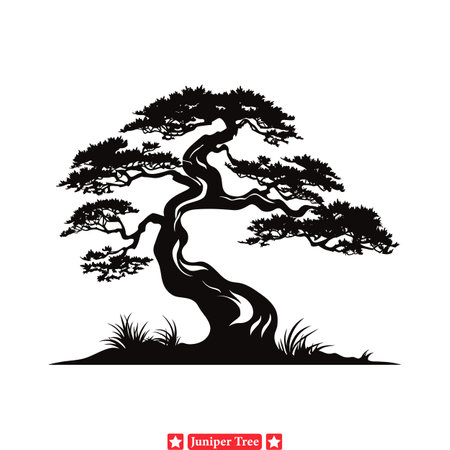Silhouette Harmony  Juniper Tree Designs for Balanced Compositionsのイラスト素材