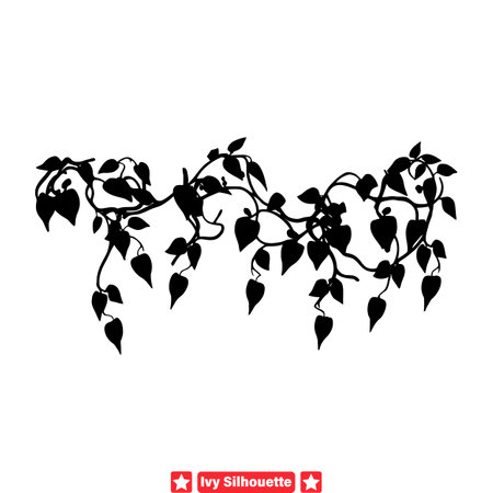 Ivy Serenade  Graceful Vector Silhouettes for Elegant Design Conceptsのイラスト素材