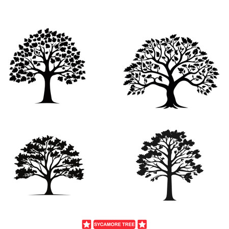 Majestic Sycamore Tree Silhouettes  Vector Collection for Nature Enthusiastsのイラスト素材