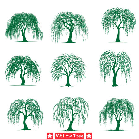 Gentle Whispers  Willow Tree Silhouette Bundle for Sublime and Soothing Designsのイラスト素材