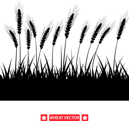 Earthy Elegance  Charming Wheat Vector Silhouette Assortmentのイラスト素材