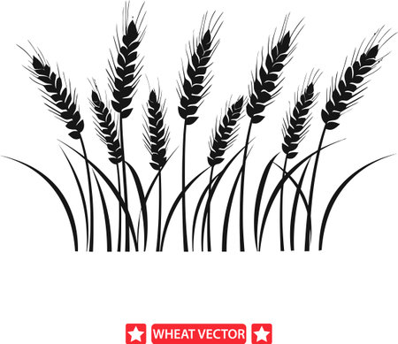 Field of Dreams  Mesmerizing Wheat Vector Collectionのイラスト素材