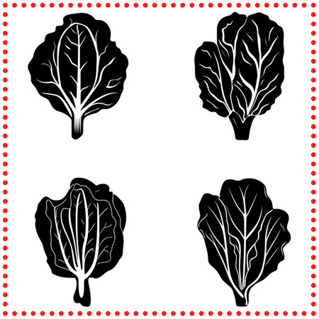 Stylized Lettuce Leaf Vector Set with Detailed Veins and Minimalist Designのイラスト素材