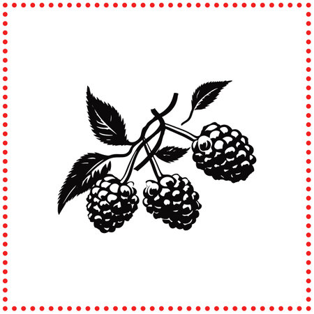 Berry Fresh  Raspberry Silhouette for Modern and Minimalist Design Projectsのイラスト素材