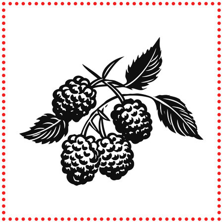 From Farm to Art  Raspberry Silhouette for Food Themed Illustrationsのイラスト素材