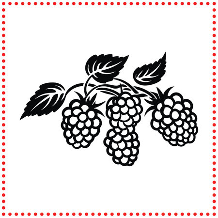 Harvest Fresh  Raspberry Silhouette That Captures the Spirit of the Seasonのイラスト素材