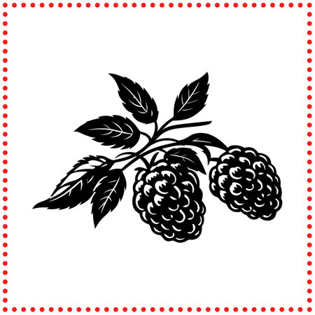 Natureâs Candy  Raspberry Silhouette That Adds a Sweet Touch to Your Designsのイラスト素材