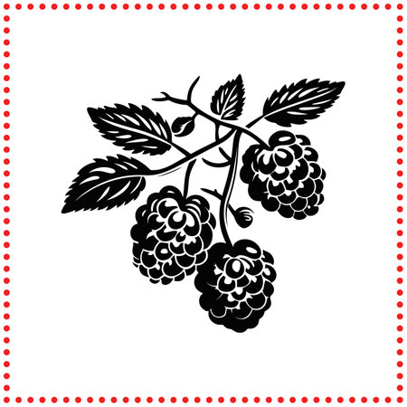 Berry Inspiration  Raspberry Silhouette for Creative and Artistic Expressionのイラスト素材