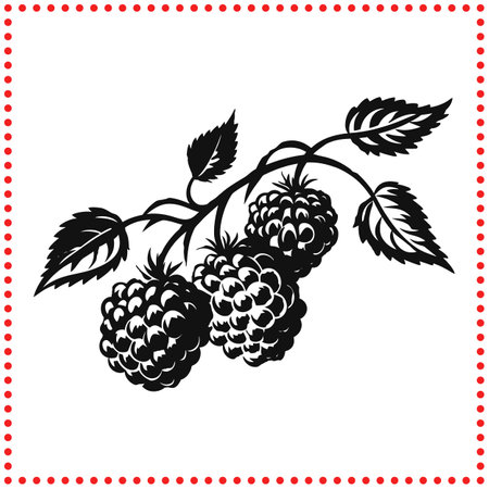 Berry Harvest  Raspberry Silhouette Perfect for Autumn Themed Creationsのイラスト素材