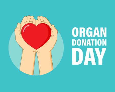 vector illustration for organ donation dayのイラスト素材