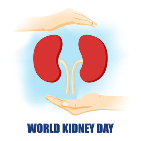 Vector illustration for World Kidney Dayのイラスト素材