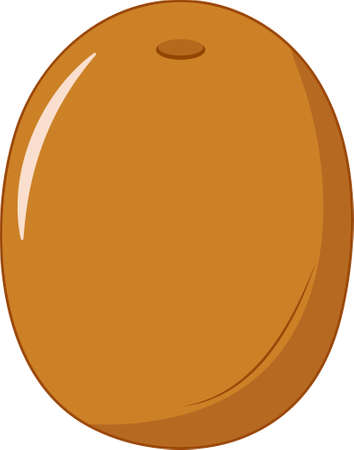 Fresh and Sweet Sapodilla Vector Illustrationのイラスト素材