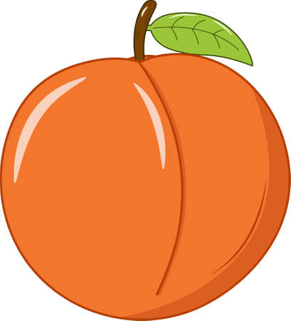 Fresh Peach with Green Leaf Vector Illustrationのイラスト素材