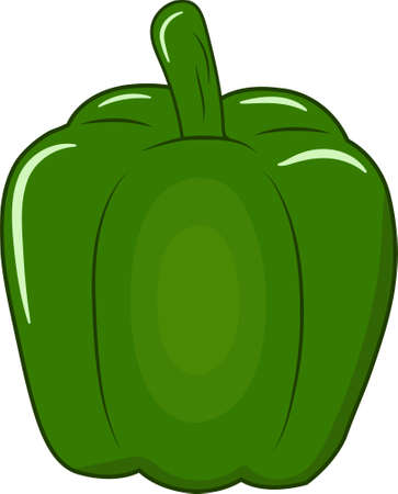 Fresh Green Capsicum Vector Illustrationのイラスト素材