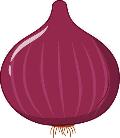 Fresh Single Onion Vector Illustrationのイラスト素材