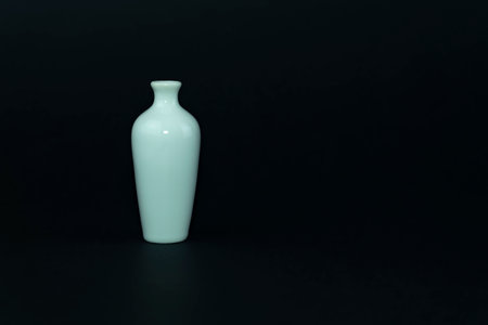 White vase on a black background. Photo isolated on black background with space for your notes. Picture for florists, flower shops, ekibana.の写真素材