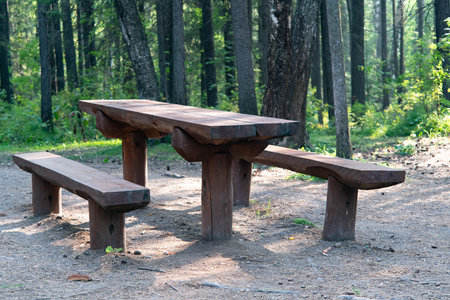 Wooden table and 2 benches in the national Park. A place of rest and picnic in the forest. Summer...