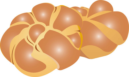 Two braided buns. Vector illustration isolated on white background.のイラスト素材