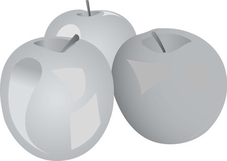 Green apples. Grayscale image of food. Vector illustration isolated on white background.のイラスト素材