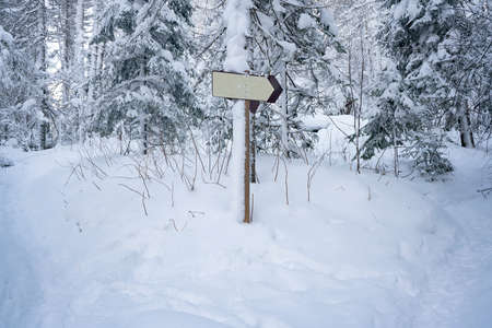 Signpost on a wooden post in a snowy forest. Snow-covered pine forest with rocks in the snow against...